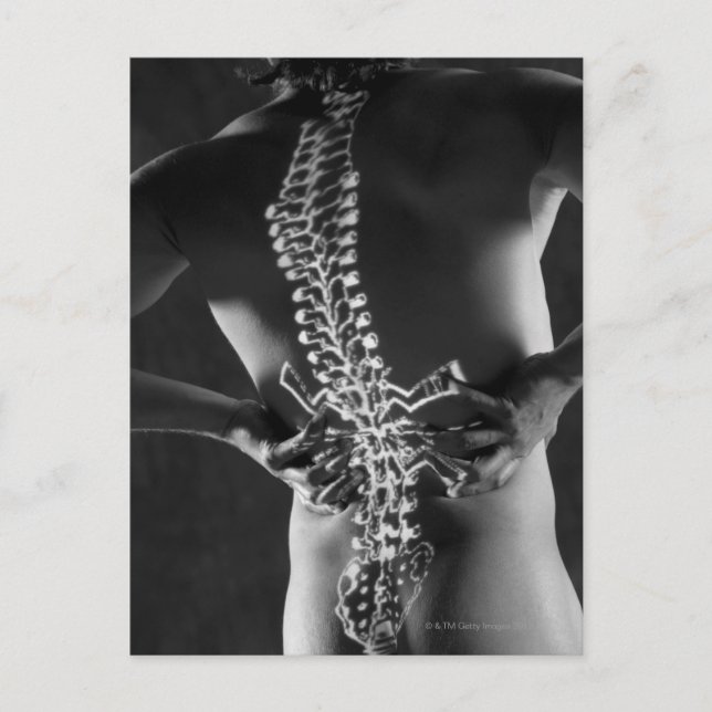 Carte Postale Vue de l'accord de colonne vertébrale (Devant)