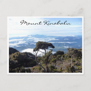 Carte Postale vue de l'arbre kinabalu