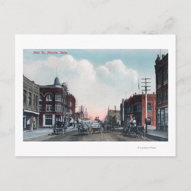 Carte Postale Vue de Main Street et de Horse Carrières (Devant)