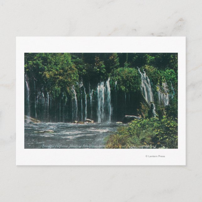 Carte Postale Vue de Mossbrae FallsShasta Springs, CA (Devant)