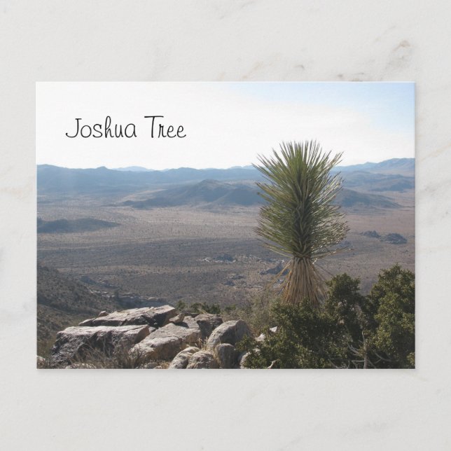 Carte Postale Vue de Ryan Mountain - Joshua Tree (Devant)