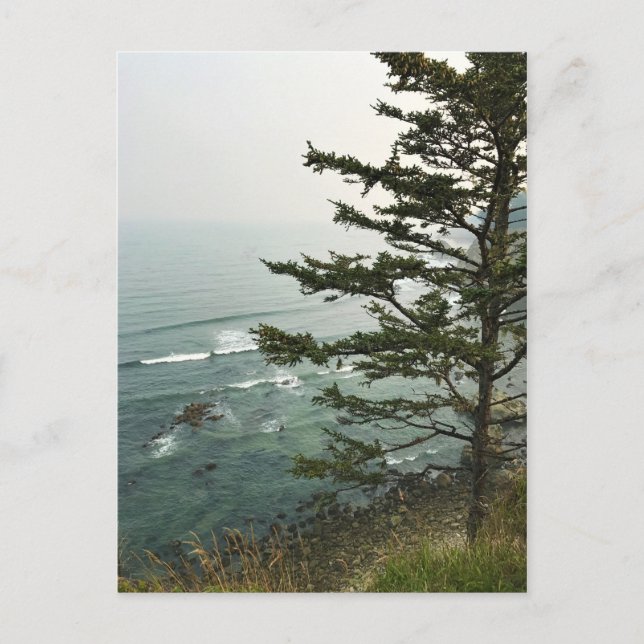 Carte Postale Vue de Simpson Reef Overlook, Côte de l'Oregon (Devant)