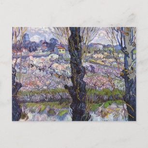Carte Postale Vue de Van Gogh sur les vergers en fleurs d'Arles