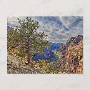 Carte Postale Vue de Zion Canyon depuis Angels Landing