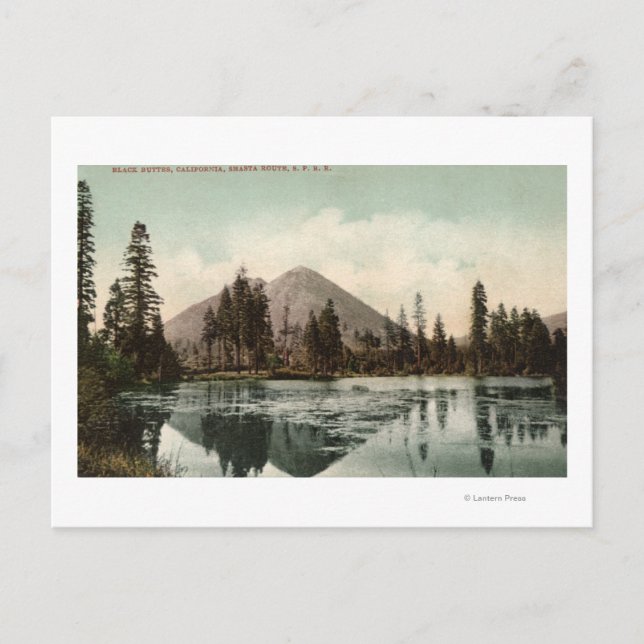 Carte Postale Vue des boutons noirs le long de la route Shasta (Devant)