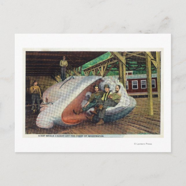 Carte Postale Vue des chasseurs de baleines sur la baleine (Devant)