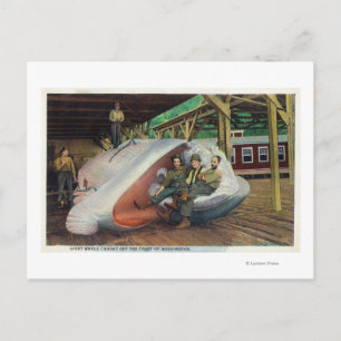 Carte Postale Vue des chasseurs de baleines sur la baleine