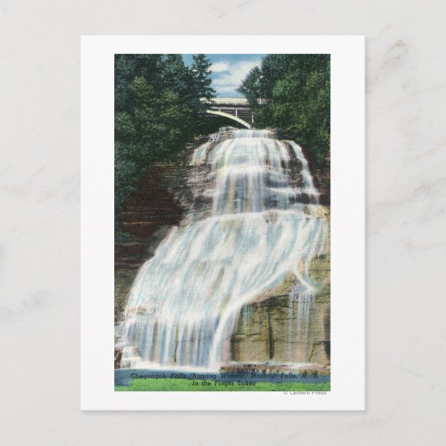 Carte Postale Vue des chutes Chequagah (Devant)