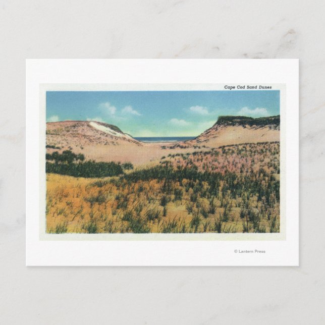 Carte Postale Vue des dunes de sable de Cape Cod 2 (Devant)