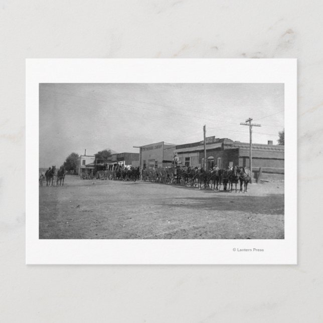 Carte Postale Vue des équipes de chevaux Wagon sur la rue (Devant)