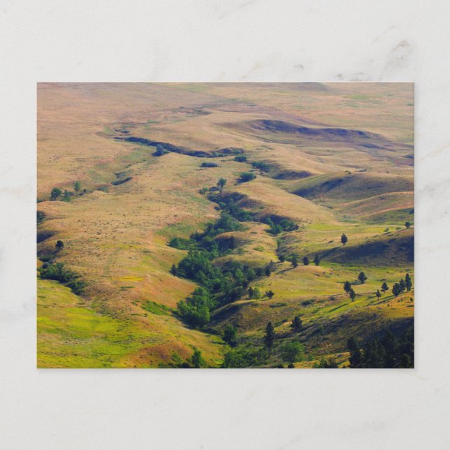 Carte Postale Vue des plaines entourant Bear Butte, SD (Devant)