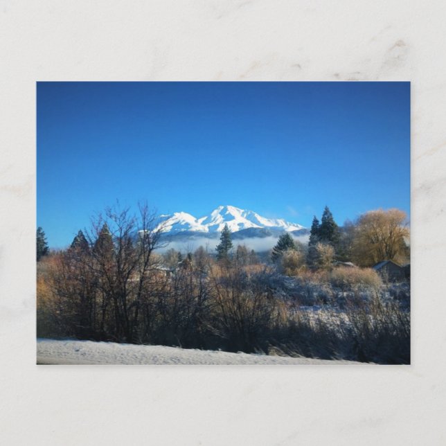 Carte Postale Vue d'hiver à Mount Shasta, CA (Devant)