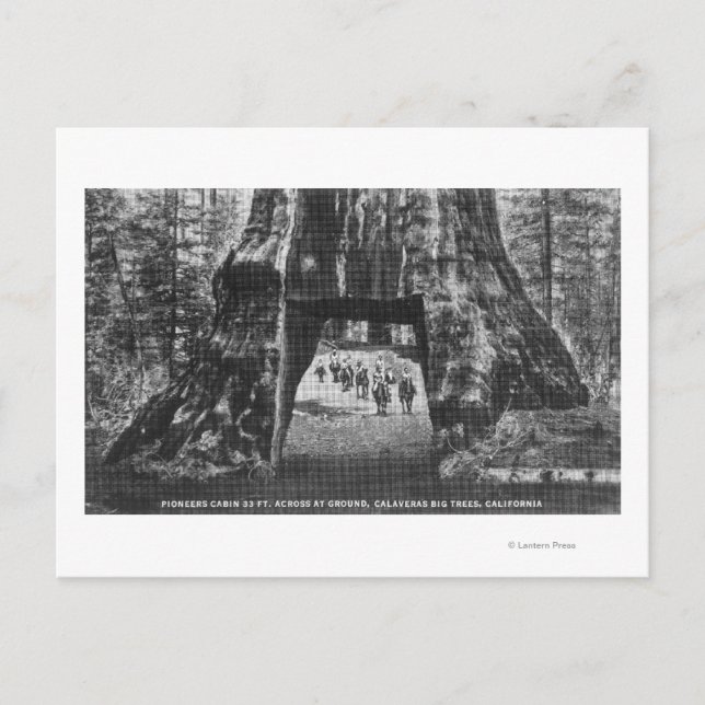 Carte Postale Vue du Cabine Pionnier, Hommes à cheval (Devant)