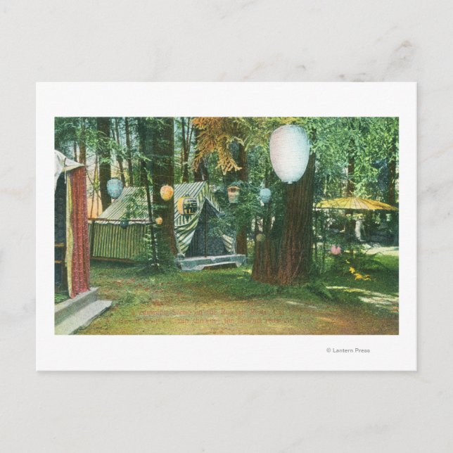 Carte Postale Vue du camp Scotts, RedwoodsRussian River, CA (Devant)