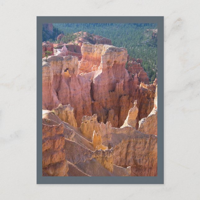 Carte Postale Vue du canyon de Bryce avec Pastel Hoodoos (Devant)
