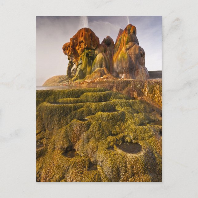 Carte Postale Vue du Fly Geyser (Devant)
