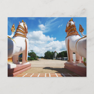 Carte Postale Vue du lion