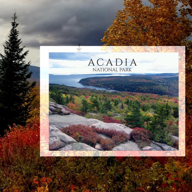 Carte Postale Vue du parc national de l'Acadia de Gorham Mountai (Créateur téléchargé)