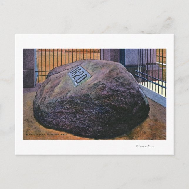 Carte Postale Vue du Real Plymouth Rock (Devant)