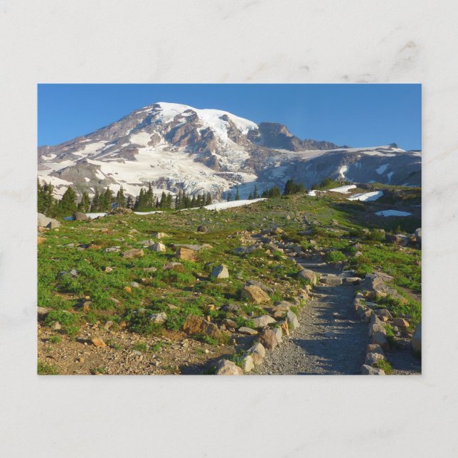 Carte Postale Vue du sentier Skyline du mont Rainier (Devant)
