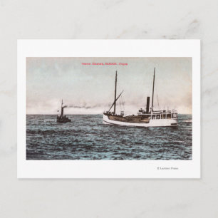 Carte Postale Vue du Steamer ElizabethBandon, OR