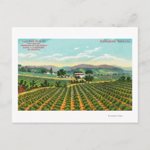 Carte Postale Vue du vignoble GiersbergNapa, CA