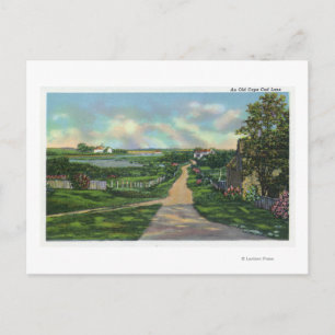 Carte Postale Vue d'une ancienne voie de Cape Cod