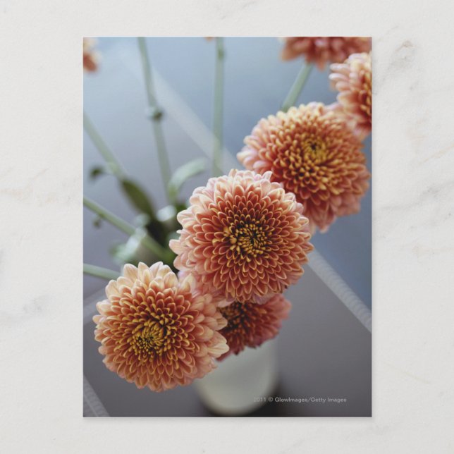 Carte Postale Vue en angle élevé des fleurs dans un vase (Devant)