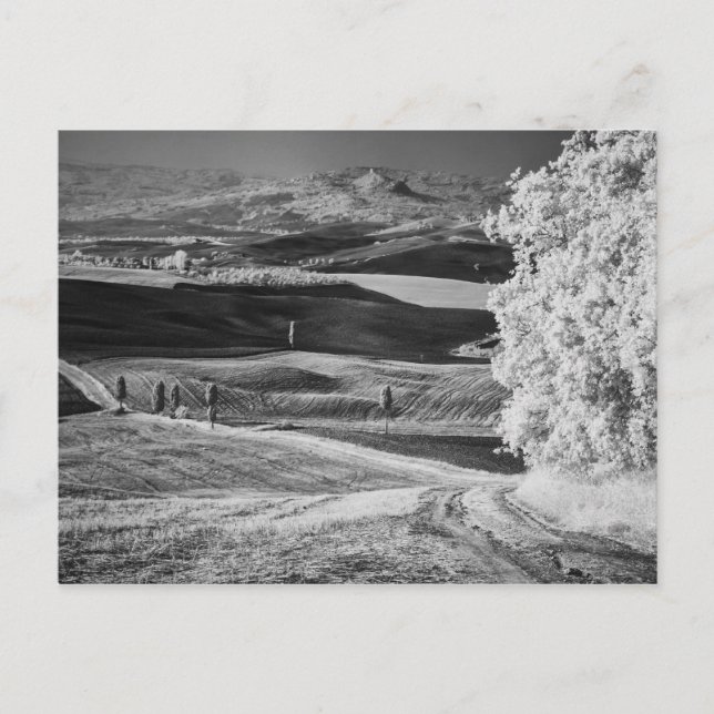 Carte Postale Vue en noir et blanc d'une route sinueuse (Devant)