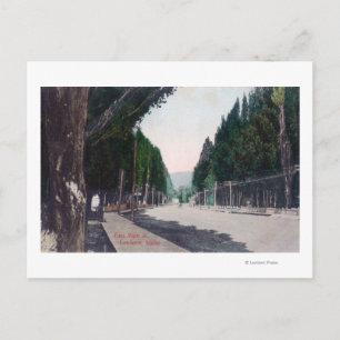 Carte Postale Vue Est sur Main Street Lewiston, ID