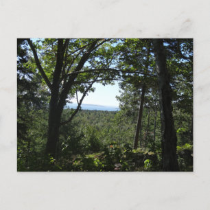 Carte Postale Vue estivale du parc national de l'Acadie