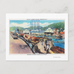 Carte Postale Vue extérieure de Pacific Lumber Co, Redwood