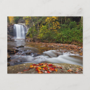 Carte Postale Vue Glass Falls Pisgah Forêt nationale