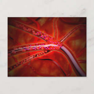 Carte Postale Vue Microscopique De La Médecine Injectée