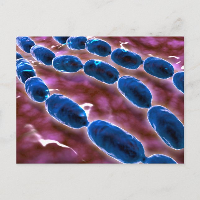 Carte Postale Vue Microscopique De La Pneumonie Bactérienne 1 (Devant)