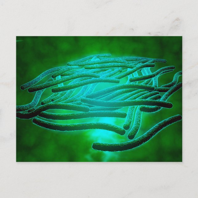 Carte Postale Vue Microscopique De Legionella Pneumophila 1 (Devant)