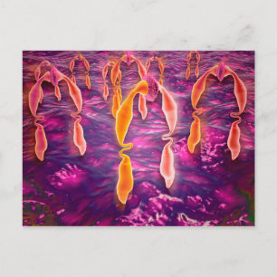 Carte Postale Vue Microscopique De Ligand Reliant À Un Récepteur