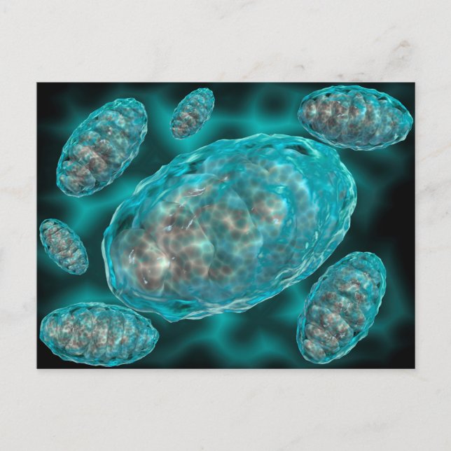 Carte Postale Vue Microscopique De Mitochondrie 2 (Devant)