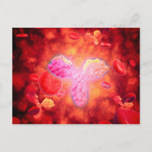 Carte Postale Vue Microscopique Des Anitcorps Humains