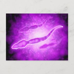 Carte Postale Vue Microscopique Des Cellules Sperm Masculines