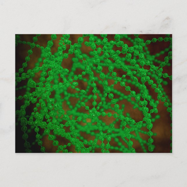 Carte Postale Vue Microscopique Du Bactérie Cocci (Devant)