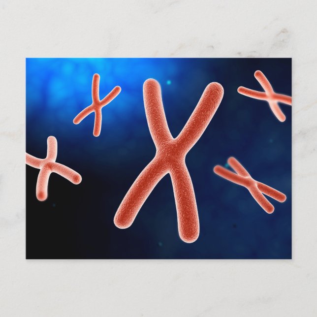 Carte Postale Vue Microscopique Du Chromosome 1 (Devant)