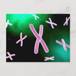 Carte Postale Vue Microscopique Du Chromosome 2