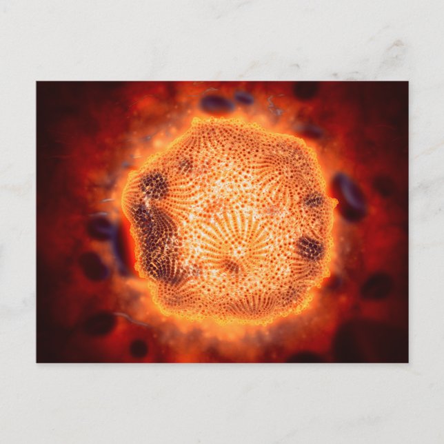 Carte Postale Vue Microscopique Du Parvovirus Canin 4 (Devant)