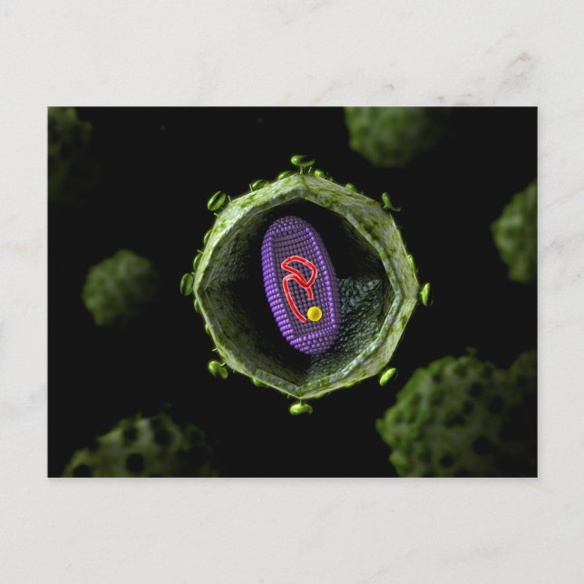 Carte Postale Vue Microscopique Du Virus Du VIH, Section Transve (Devant)
