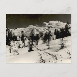 Carte Postale Vue monochrome vintage de la forêt de montagne enn