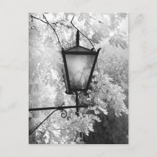 Carte Postale Vue noir et blanc d'une applique lumineuse