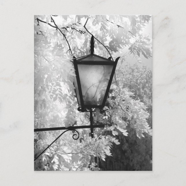 Carte Postale Vue noir et blanc d'une applique lumineuse (Devant)