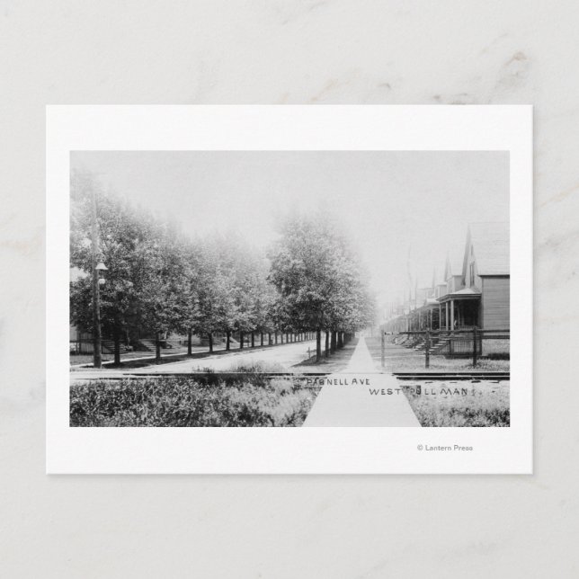 Carte Postale Vue ouest de Parnell Avenue (Devant)