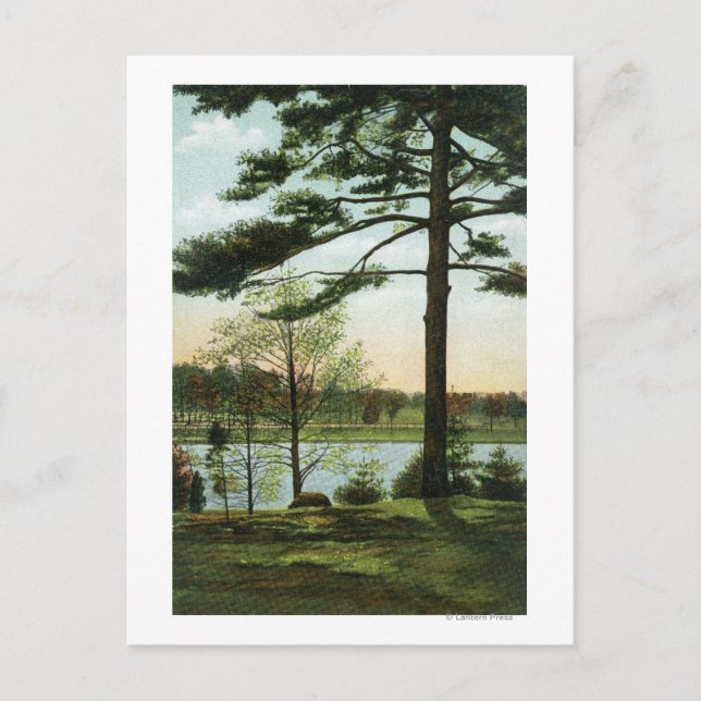 Carte Postale Vue pittoresque sur le réservoir de Chestnut Hill (Devant)